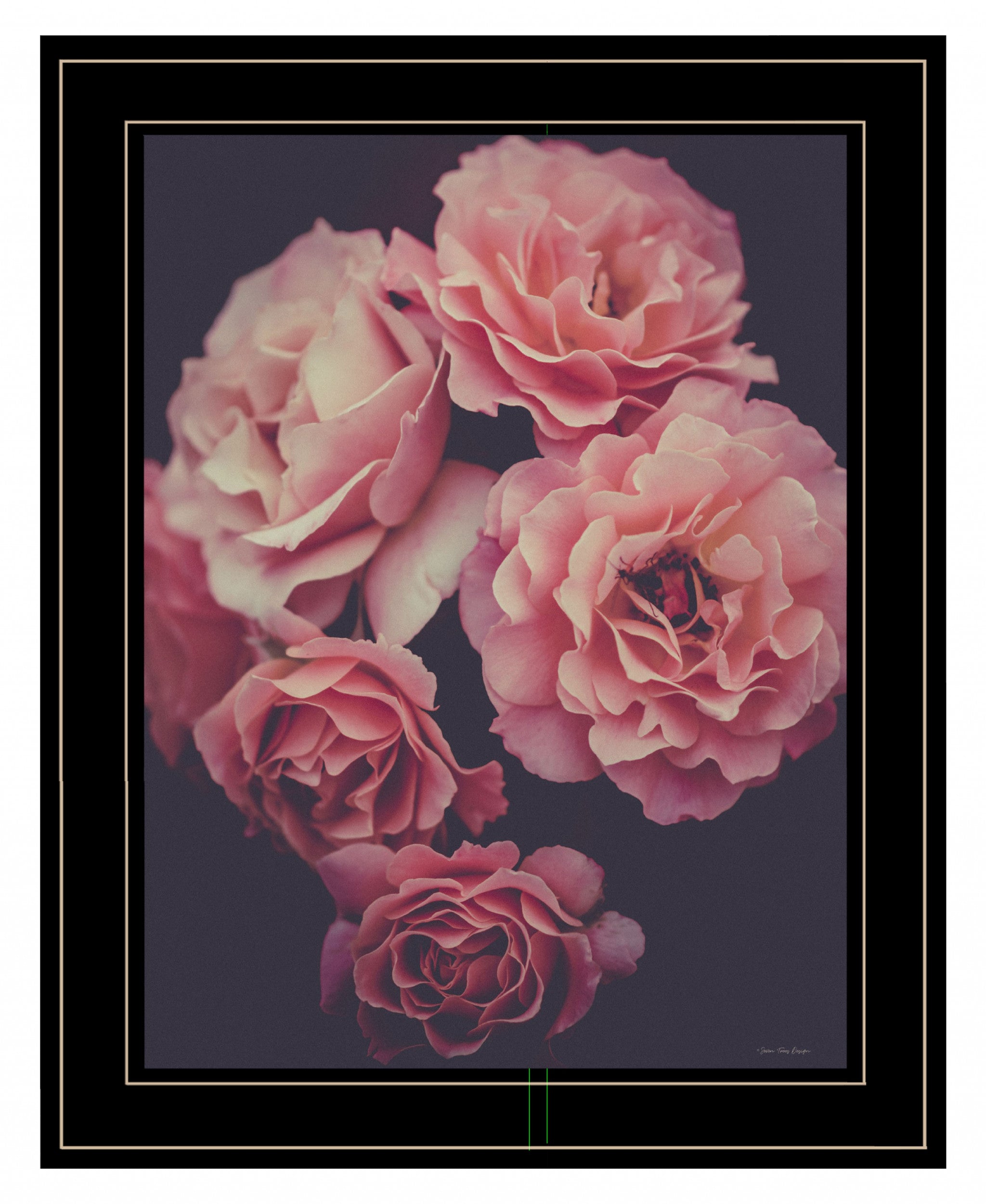 Dreamy Rose 2 Black Framed Print Wall Art-1