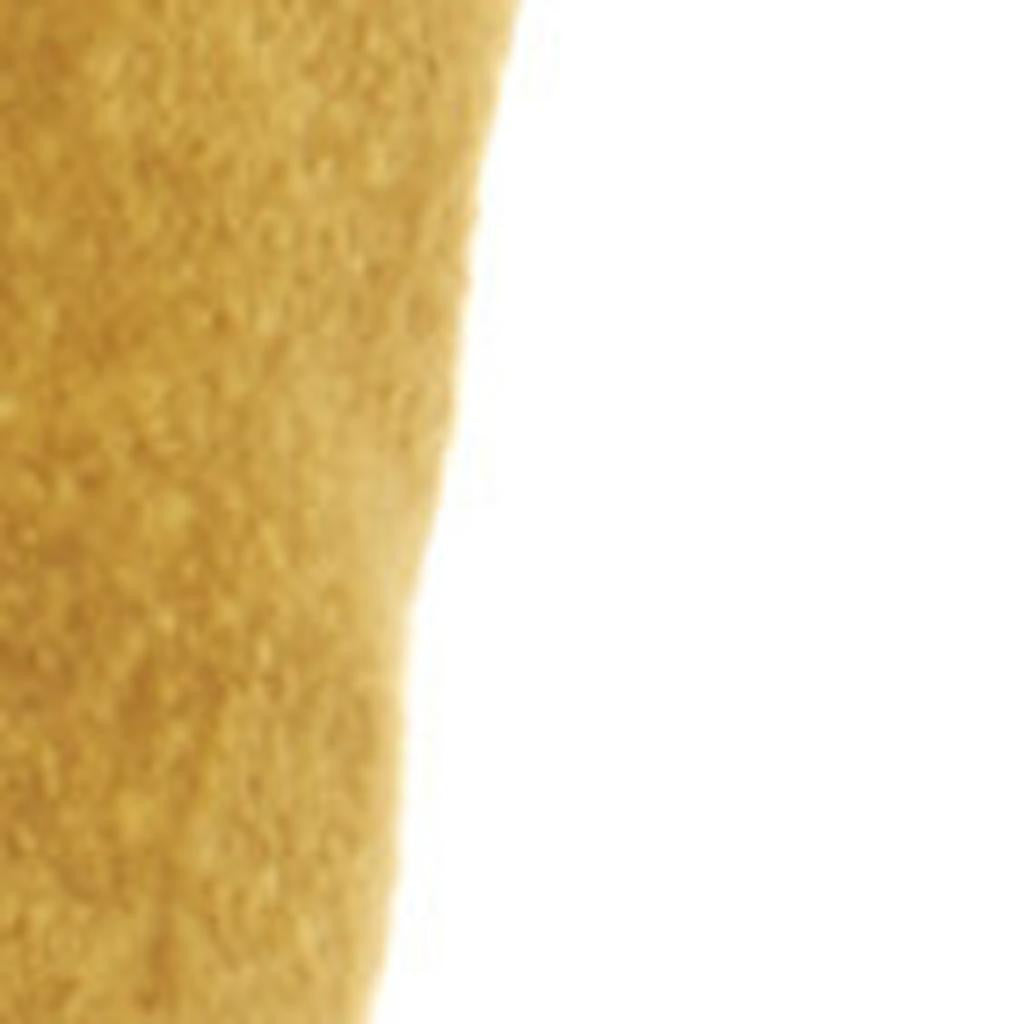 Bold Golden Leopard Lumbar Pillow-4