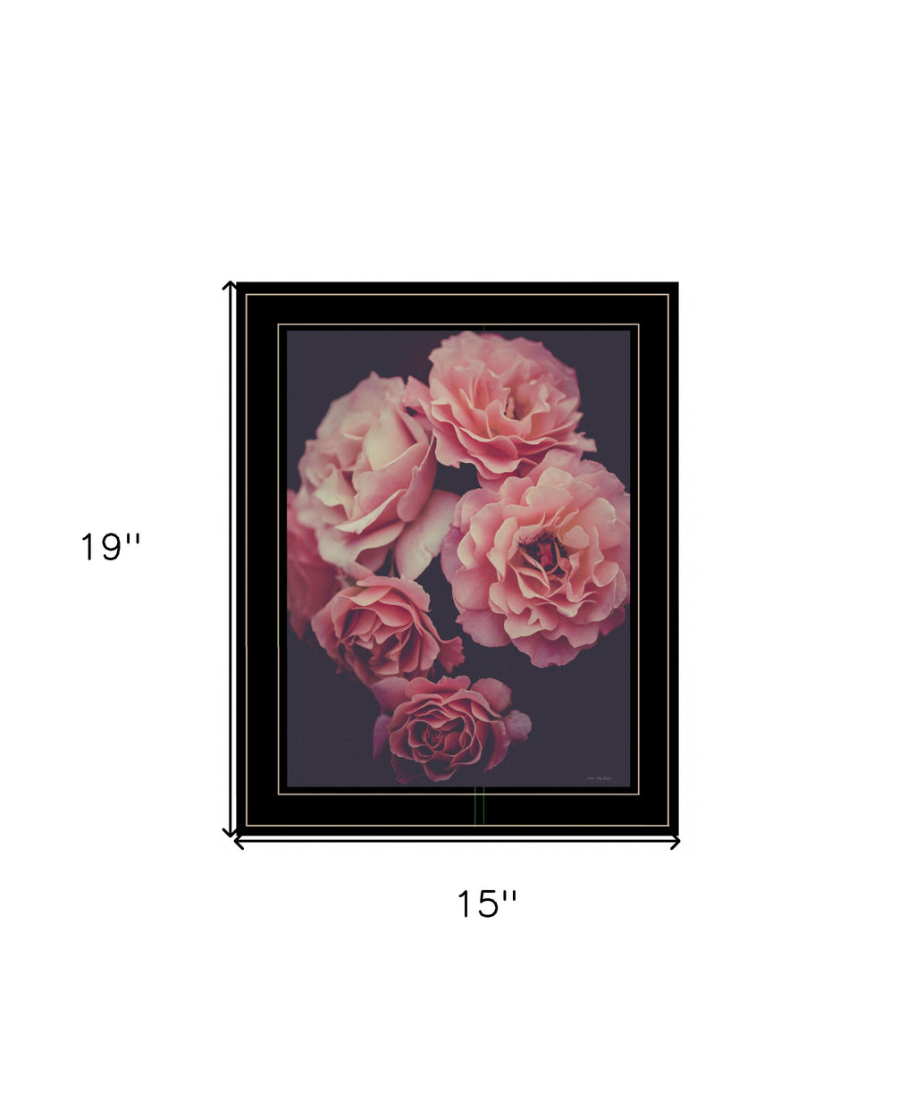 Dreamy Rose 2 Black Framed Print Wall Art-5